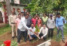 राजनांदगांव : एक पेड़ माँ के नाम अभियान के तहत जिले के सभी शासकीय कार्यालयों में किया गया सघन पौधरोपण…