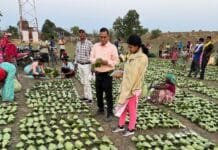 रायपुर : मुख्यमंत्री विष्णु देव साय 21 जून को करेंगे प्रदेशव्यापी चरण पादुका योजना का शुभारंभ…