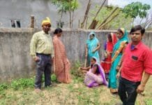 मोहला : 185 पंचायतों में एक साथ गूंजा प्रकृति प्रेम का संदेश, वृक्षारोपण से रचा नया कीर्तिमान…