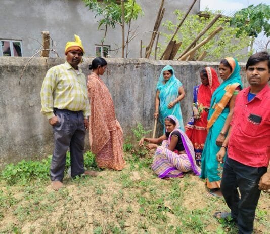 मोहला : 185 पंचायतों में एक साथ गूंजा प्रकृति प्रेम का संदेश, वृक्षारोपण से रचा नया कीर्तिमान…
