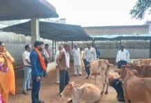 राजनांदगांव : कांजी हाउस में व्यवस्था दुरूस्त करने एवं स्वीकृत निर्माण कार्य प्रारंभ कराने के दिये निर्देश…