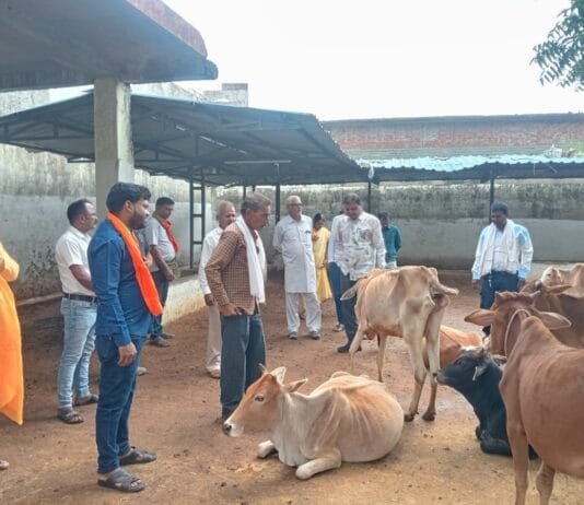 राजनांदगांव : कांजी हाउस में व्यवस्था दुरूस्त करने एवं स्वीकृत निर्माण कार्य प्रारंभ कराने के दिये निर्देश…