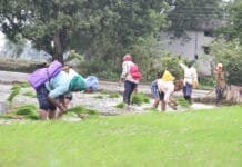 राजनांदगांव : कृषकों में इस वर्ष अच्छी खेती की उम्मीद…