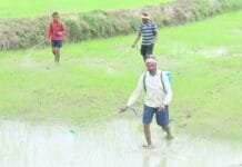 राजनांदगांव : जिले में किसानों को 29133.4 मीट्रिक टन रासायनिक खाद का वितरण…