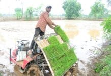 राजनांदगांव : किराए पर रोपा लगाने पर लगभग 1 लाख 20 हजार रूपए की हो रही अतिरिक्त आय…