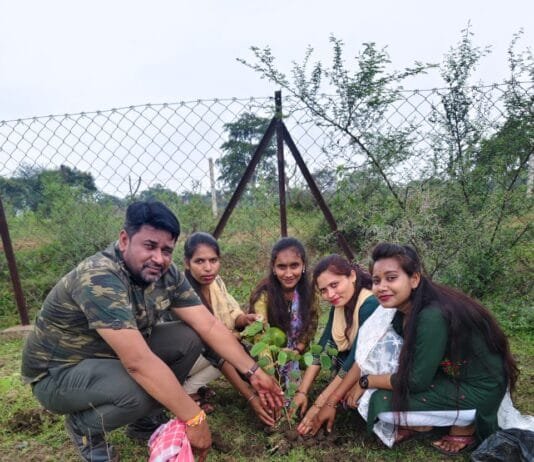 राजनांदगांव: पेड़ लगाकर भूलना नहीं,उन्हें पेड़ बनने तक संभालना हमारी जिम्मेदारी – सरपंच…