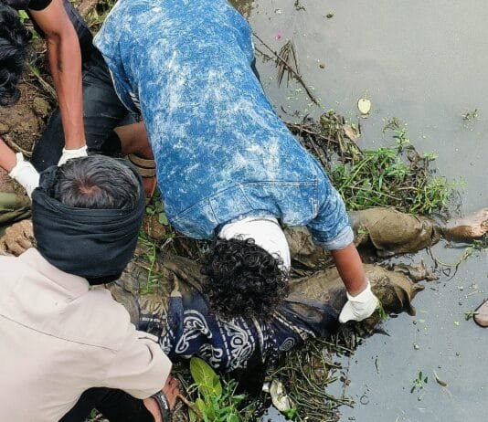 राजनांदगांव : बजरंगपुर नवागांव पुल के नीचे नाले में मिला महिला का शव, जांच में जुटी पुलिस…