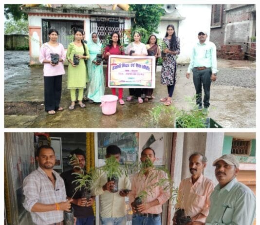 राजनांदगांव : एक पेड़ मां के नाम अभियान के तहत 38000 पौधों का रोपण…