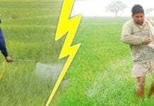 राजनांदगांव : धान की अधिक पैदावार के लिए किसान उर्वरकों के साथ लिक्विड नैनो यूरिया का करें उपयोग…