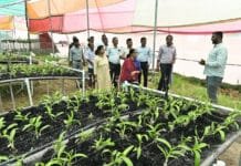 रायपुर : विशेष लेख : विकास की नई इबारत: धमतरी में बदलते ग्रामीण परिदृश्य की कहानी…