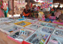 रायपुर : महतारी वंदन योजना बनी आत्मनिर्भरता की मिसाल…