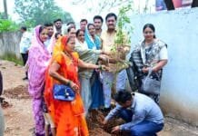 रायपुर : एक पेड़ लगाकर माँ को दे सम्मान- दयाल दास बघेल…