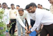 सक्ती : सक्ती जिले में सामूहिक पौधरोपण महाअभियान का हुआ आयोजन…