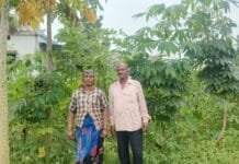 रायपुर : आधुनिक खेती व मेहनत में केतकी बाई को बनाया लखपति दीदी…