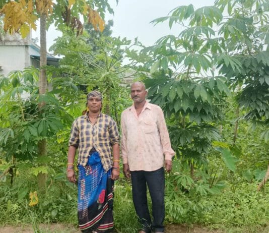 रायपुर : आधुनिक खेती व मेहनत में केतकी बाई को बनाया लखपति दीदी…