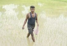 रायपुर : समय पर मिले खाद-बीज से युवा किसान बृजपाल की खेती हुई आसान…