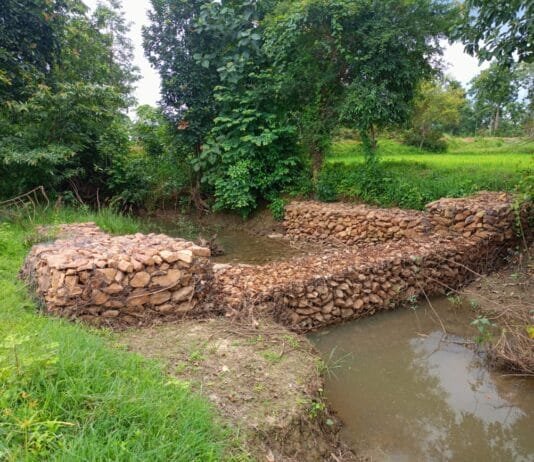 मोहला : जल संरक्षण की मिसाल बना मोर गांव, मोर पानी महाअभियान…