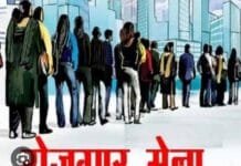 राजनांदगांव जिला रोजगार एवं स्वरोजगार मार्गदर्शन केंद्र द्वारा प्लेसमेंट कैंप का आयोजन, युवाओं के लिए रोजगार के अवसर…