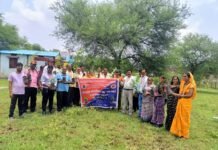 राजनांदगांव: भानपुरी गौठान में मानव अधिकार रक्षक संगठन द्वारा वृक्षारोपण, गांव की हरियाली हेतु लिया संकल्प…