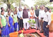 राजनांदगांव : विधानसभा अध्यक्ष ने वूमेन फॉर ट्रीज अभियान के तहत बादाम का पौधरोपण कर किया शुभारंभ…