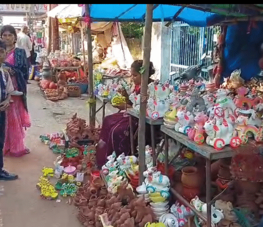 राजनांदगांव: शहर से लेकर गांव तक पोला पर्व का उत्साह…