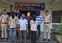 राजनांदगांव : डोंगरगढ़ पुलिस की बड़ी कार्रवाई, 06 म्यूल अकाउंट धारक गिरफ्तार…