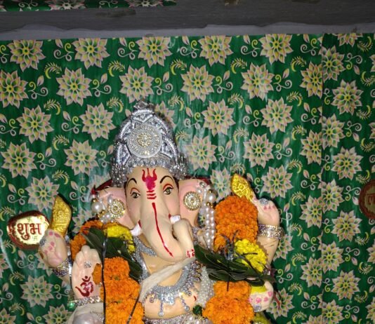 राजनांदगांव : गाजे बाजे के साथ पंडालों और घरों में विराजे गणपति…