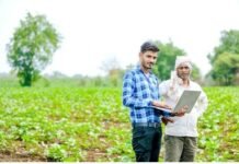 राजनांदगांव : एग्रीस्टेक पोर्टल में 1 लाख 17 हजार 512 किसानों ने कराया कृषक पंजीयन…