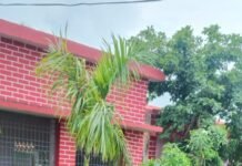 राजनांदगांव : मुसरा स्कूल ग्राउंड बना शराबियों का अड्डा, स्कूली बच्चे करते हैं साफ सफाई…