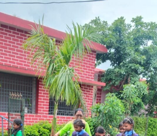 राजनांदगांव : मुसरा स्कूल ग्राउंड बना शराबियों का अड्डा, स्कूली बच्चे करते हैं साफ सफाई…