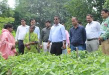 रायपुर : जैविक खेती से आत्मनिर्भरता की ओर महिला किसान गोपिका प्रधान…