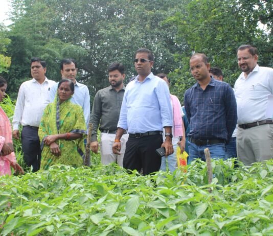 रायपुर : जैविक खेती से आत्मनिर्भरता की ओर महिला किसान गोपिका प्रधान…