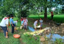 मोहला : जल संरक्षण की अनोखी पहल, जिले में ‘बोरी बंधन’ कार्यक्रम का हुआ शुभारंभ…