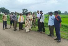राजनांदगांव : कलेक्टर ने ग्राम बोईरडीह में खेतों में पहुंचकर डिजिटल फसल सर्वेक्षण के कार्य का किया निरीक्षण…