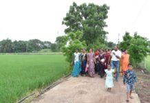 राजनांदगांव : कृषि विज्ञान केन्द्र सुरगी द्वारा किसानों को धान फसल की सुरक्षा के लिए दी गई समसामयिक सलाह…