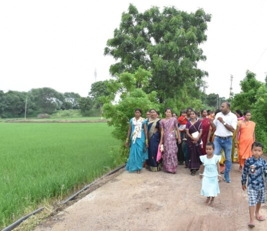 राजनांदगांव : कृषि विज्ञान केन्द्र सुरगी द्वारा किसानों को धान फसल की सुरक्षा के लिए दी गई समसामयिक सलाह…