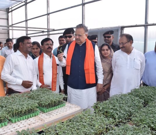 राजनांदगांव : विधानसभा अध्यक्ष ने शासकीय उद्यान रोपणी पेण्ड्री में ऑटोमेटिक वेजीटेबल सीडलिंग यूनिट का किया अवलोकन…
