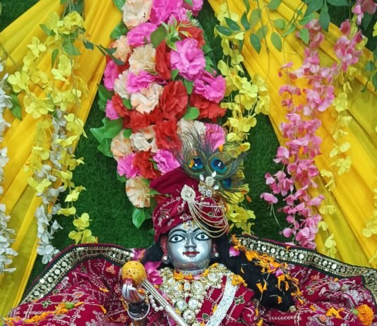 राजनांदगांव : भव्य धार्मिक आयोजन, ठाकुरजी लाडले लाल सरकार का आगमन…