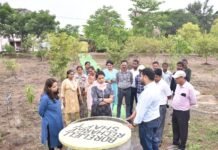 राजनांदगांव : प्रमुख सचिव पंचायत एवं ग्रामीण विकास ने स्वच्छ भारत मिशन अंतर्गत किए जा रहे कार्यों का किया निरीक्षण…