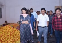 राजनांदगांव : सुकुलदैहान एवं अंजोरा में एनआरएलएम अंतर्गत आजीविका मूलक कार्यों की सराहना की…