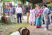 राजनांदगांव:पशु मेला एवं पशु चिकित्सा शिविर में शामिल हुए पशुपालक…