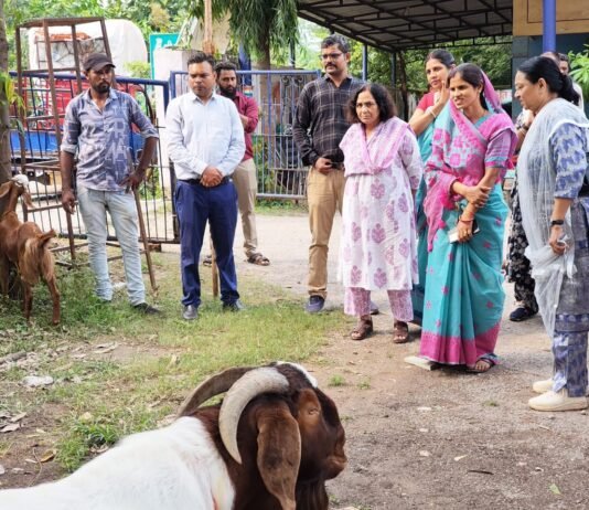 राजनांदगांव:पशु मेला एवं पशु चिकित्सा शिविर में शामिल हुए पशुपालक…