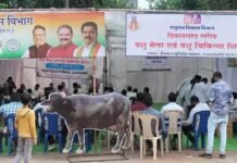 राजनांदगांव : पशु मेला एवं पशु चिकित्सा शिविर में शामिल हुए पशुपालक…