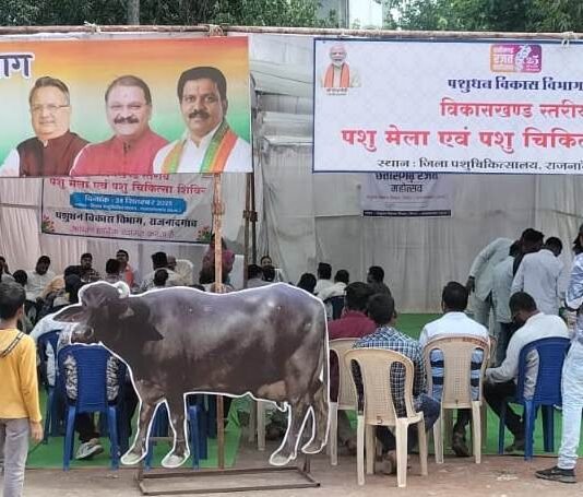 राजनांदगांव : पशु मेला एवं पशु चिकित्सा शिविर में शामिल हुए पशुपालक…