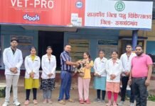 राजनांदगांव:विश्व रेबीज दिवस पर पालतू जानवरों को टीका लगवाने की अपील…