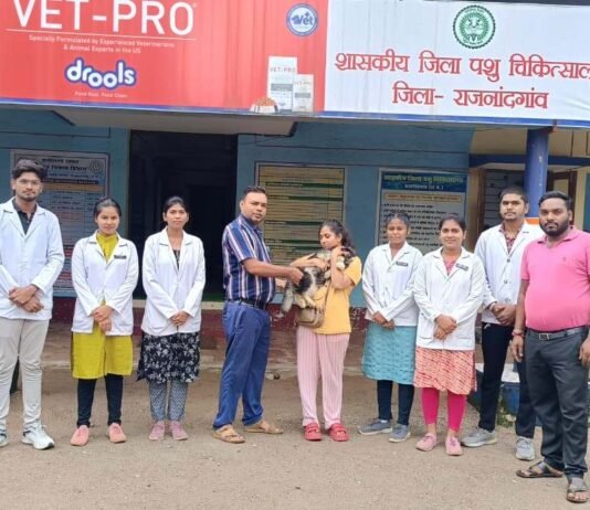 राजनांदगांव:विश्व रेबीज दिवस पर पालतू जानवरों को टीका लगवाने की अपील…