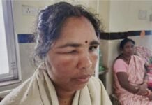 VISION TIMES: राजनांदगांव में मधुमक्खियों का कहर, दो की मौत, छह लोग घायल, खेत में काम कर रही थी महिलाएं…