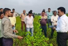 राजनांदगांव : किसानों को अधिक वर्षा से प्रभावित फसल की क्षतिपूर्ति के लिए मिलेगी राहत…