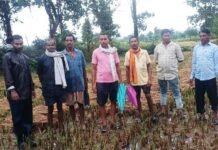 कलेक्टर जनदर्शन में ग्राम बरनालाकला के किसानों द्वारा जनदर्शन में अधिक वर्षा से फसल क्षति होने तथा क्षतिपूर्ति हेतु आवेदन प्रस्तुत करने पर अधिकारियों द्वारा फसल की क्षति का आकलन करने किया गया निरीक्षण…