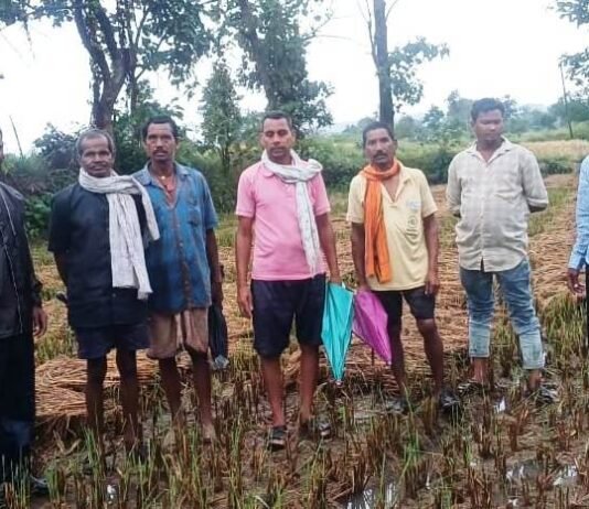 कलेक्टर जनदर्शन में ग्राम बरनालाकला के किसानों द्वारा जनदर्शन में अधिक वर्षा से फसल क्षति होने तथा क्षतिपूर्ति हेतु आवेदन प्रस्तुत करने पर अधिकारियों द्वारा फसल की क्षति का आकलन करने किया गया निरीक्षण…